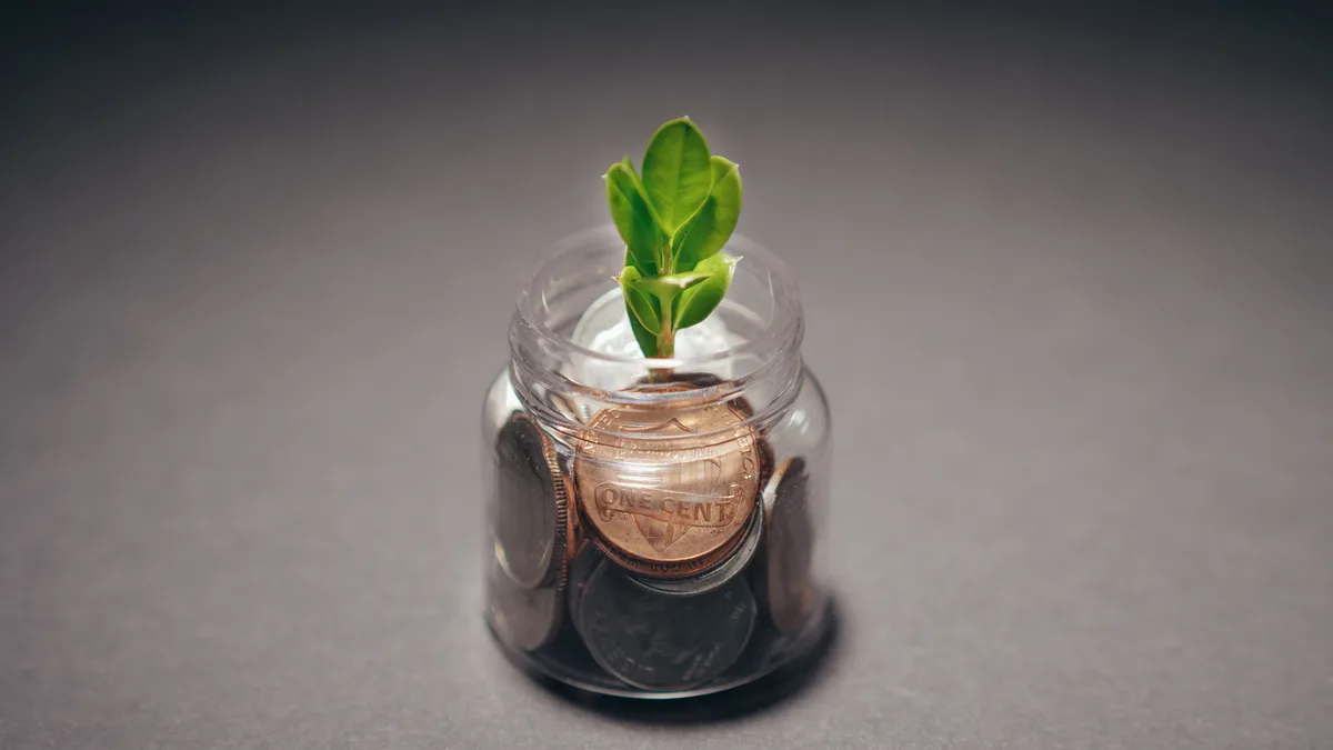 How Does Compound Interest Work? Formula & Examples Coins with a growing sprout
