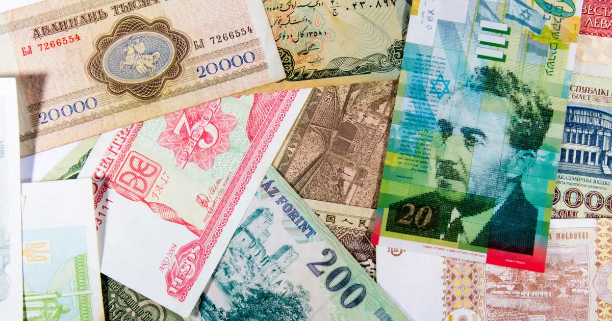 Exchange rate tool, currency converter for international investors and multi-currency net worth